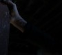 1017Smallville0079.jpg