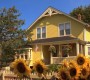 1017Smallville0603.jpg