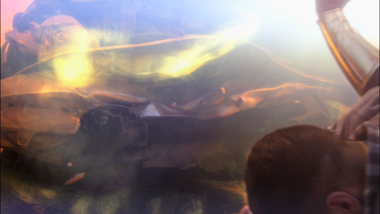1018Smallville0107.jpg