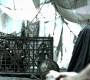 1019Smallville0553.jpg