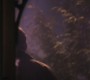 1021Smallville1476.jpg
