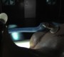 1021Smallville1709.jpg