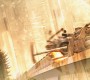1021Smallville2557.jpg