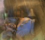 1021Smallville2623.jpg