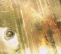 1021Smallville2626.jpg