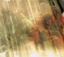 1021Smallville2628.jpg