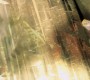 1021Smallville2629.jpg