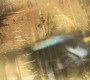 1021Smallville2637.jpg