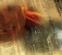 1021Smallville2640.jpg