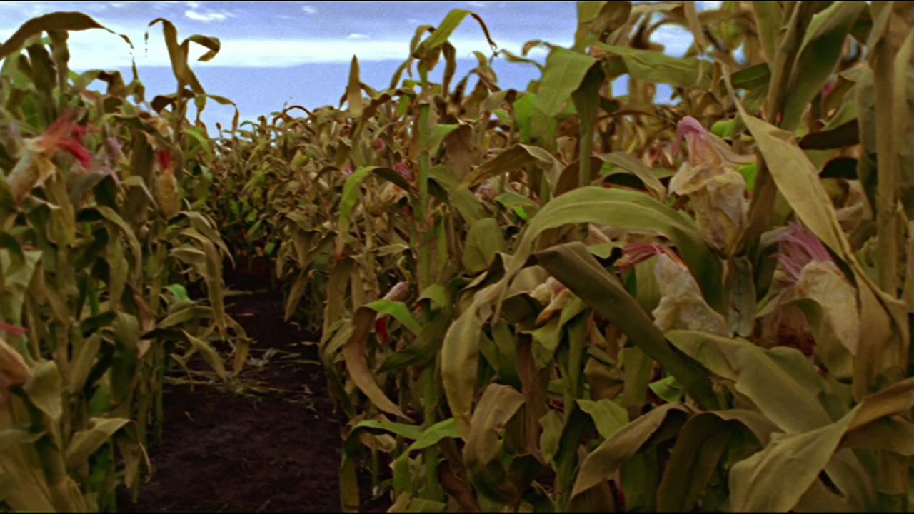 101Smallville0087.jpg