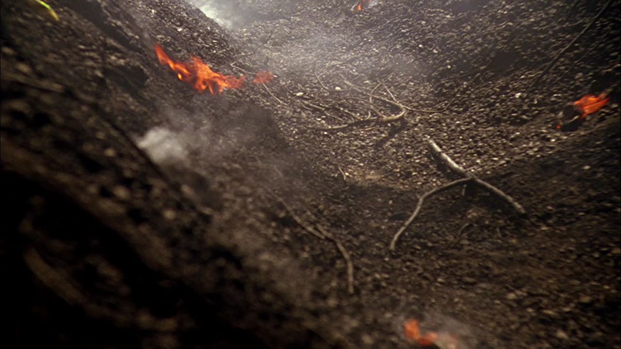101Smallville0232.jpg