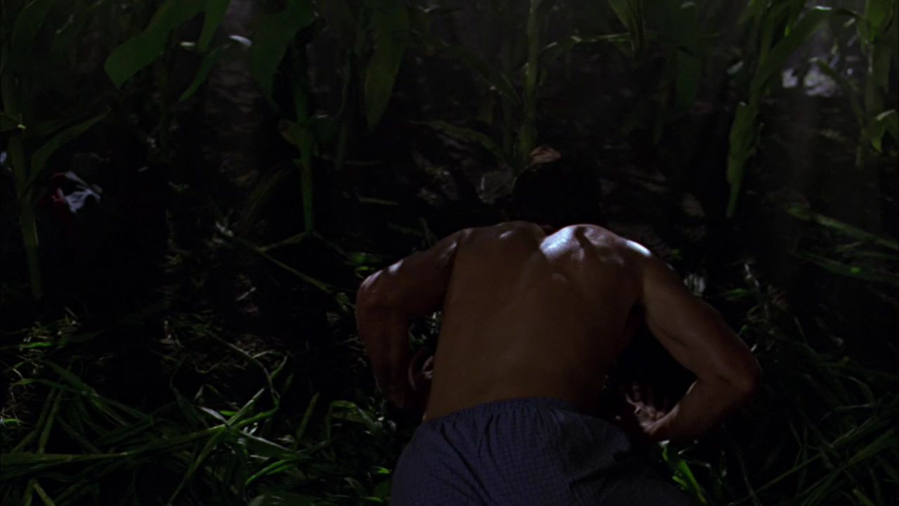 101Smallville1220.jpg