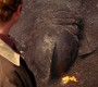 Filename=101Smallville0243.jpg
Filesize=129KiB
Dimensions=1280x720
Date added=Apr 02, 2012 101Smallville0243.jpg