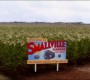 Filename=101Smallville0336.jpg
Filesize=96KiB
Dimensions=1280x720
Date added=Apr 02, 2012 101Smallville0336.jpg