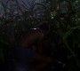 101Smallville1225.jpg