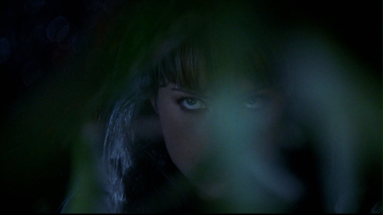 401Smallville0034.jpg