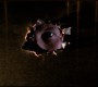 401Smallville0692.jpg
