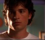 Filename=401Smallville1026.jpg
Filesize=99KiB
Dimensions=1280x720
Date added=Feb 04, 2010 401Smallville1026.jpg