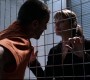 Filename=401Smallville1079.jpg
Filesize=122KiB
Dimensions=1280x720
Date added=Feb 04, 2010 401Smallville1079.jpg