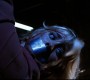 402Smallville0809.jpg