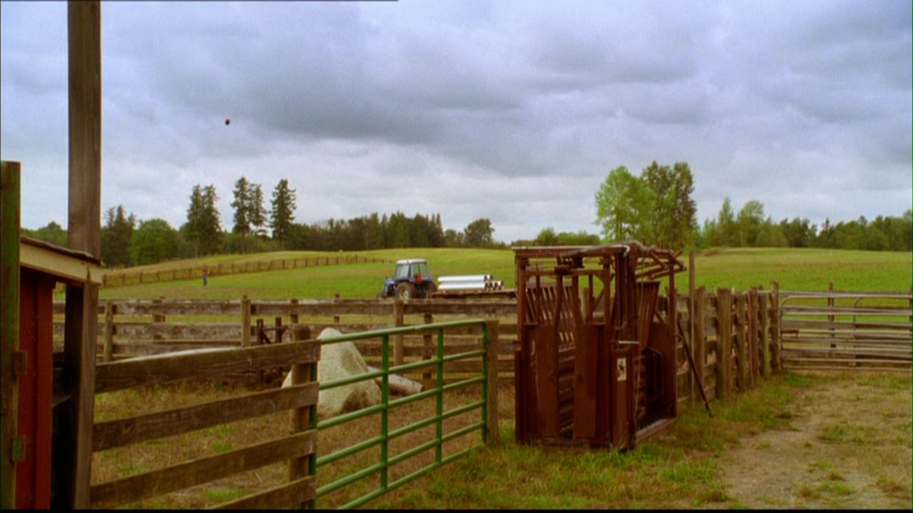 403Smallville0107.jpg