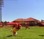 404Smallville1126.jpg