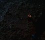 408Smallville0399.jpg