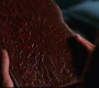 408Smallville0676.jpg
