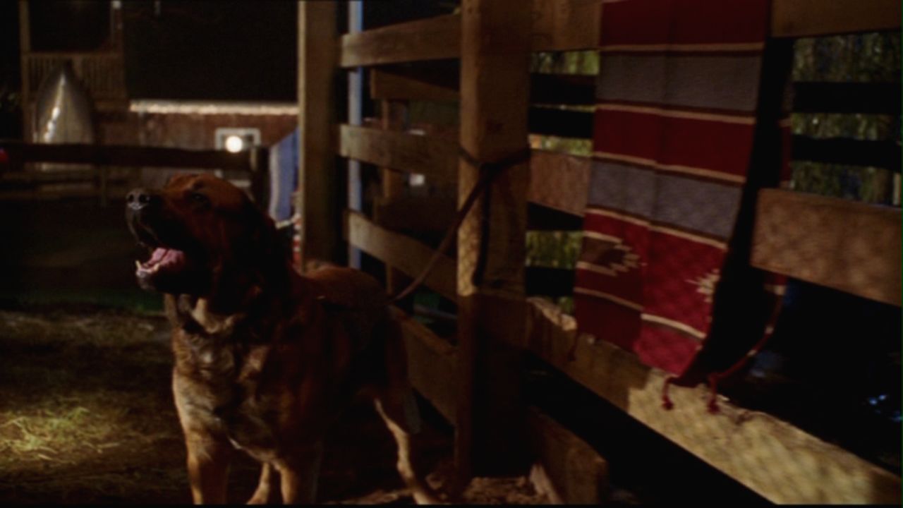 412Smallville0784.jpg