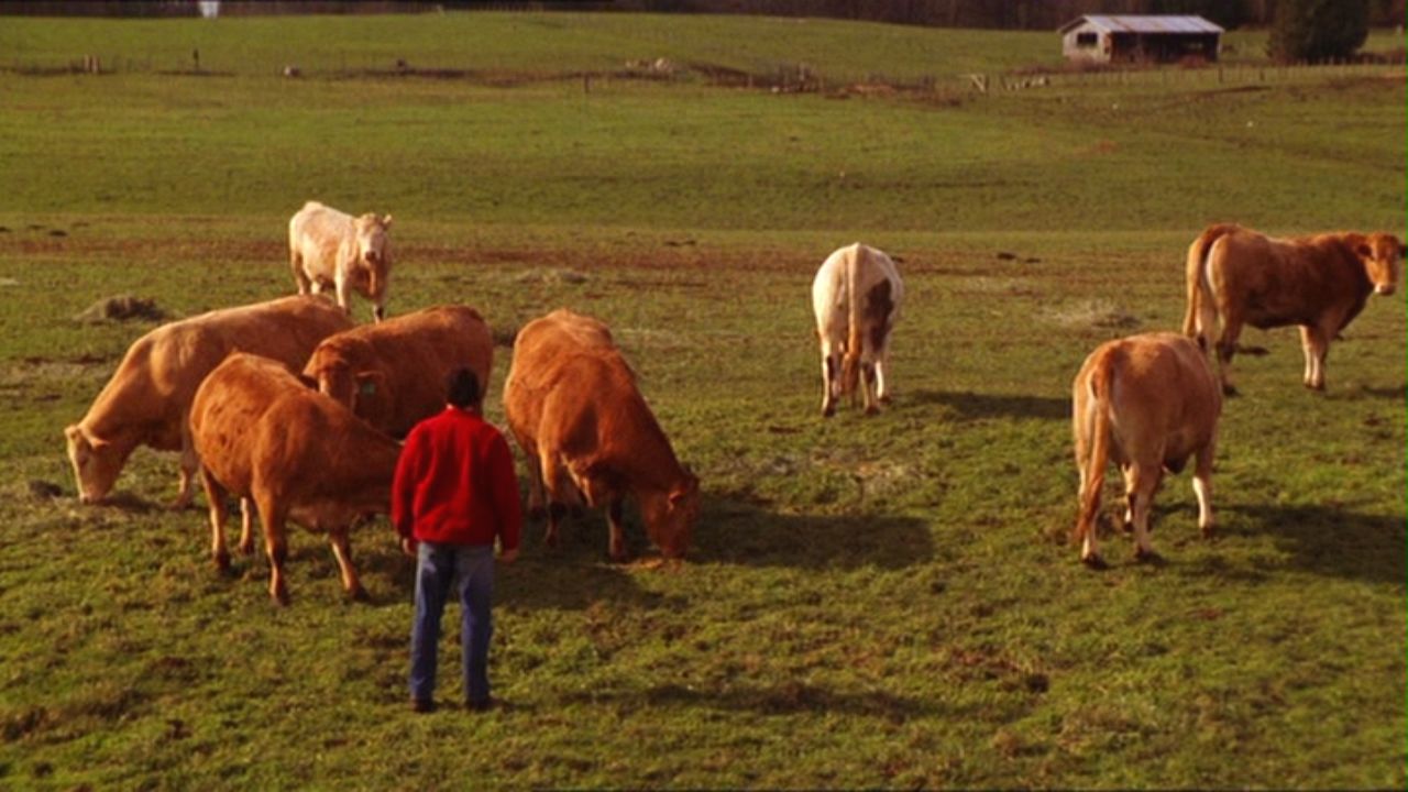 419Smallville0604.jpg