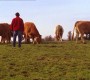 419Smallville0602.jpg