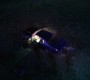 420Smallville0016.jpg