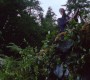 421Smallville0922.jpg