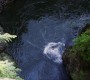 421Smallville0923.jpg