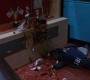 421Smallville1046.jpg