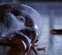 421Smallville1064.jpg