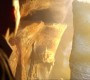 422Smallville1214.jpg