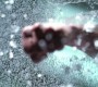 503Smallville0647.jpg