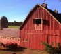 504Smallville0620.jpg