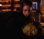 505Smallville0913.jpg