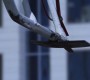 506Smallville0934.jpg
