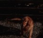 508Smallville0019.jpg