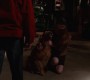510Smallville0581.jpg