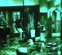 511Smallville0130.jpg