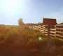515Smallville0969.jpg