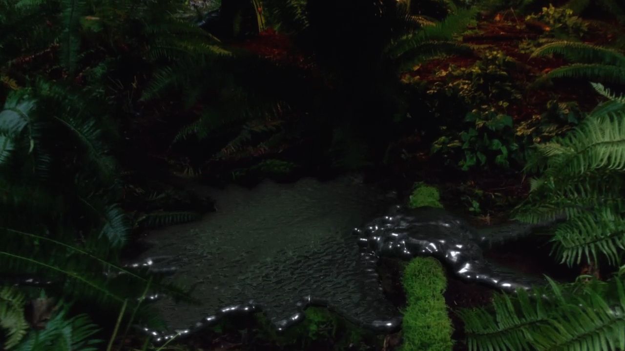 516Smallville1118.jpg