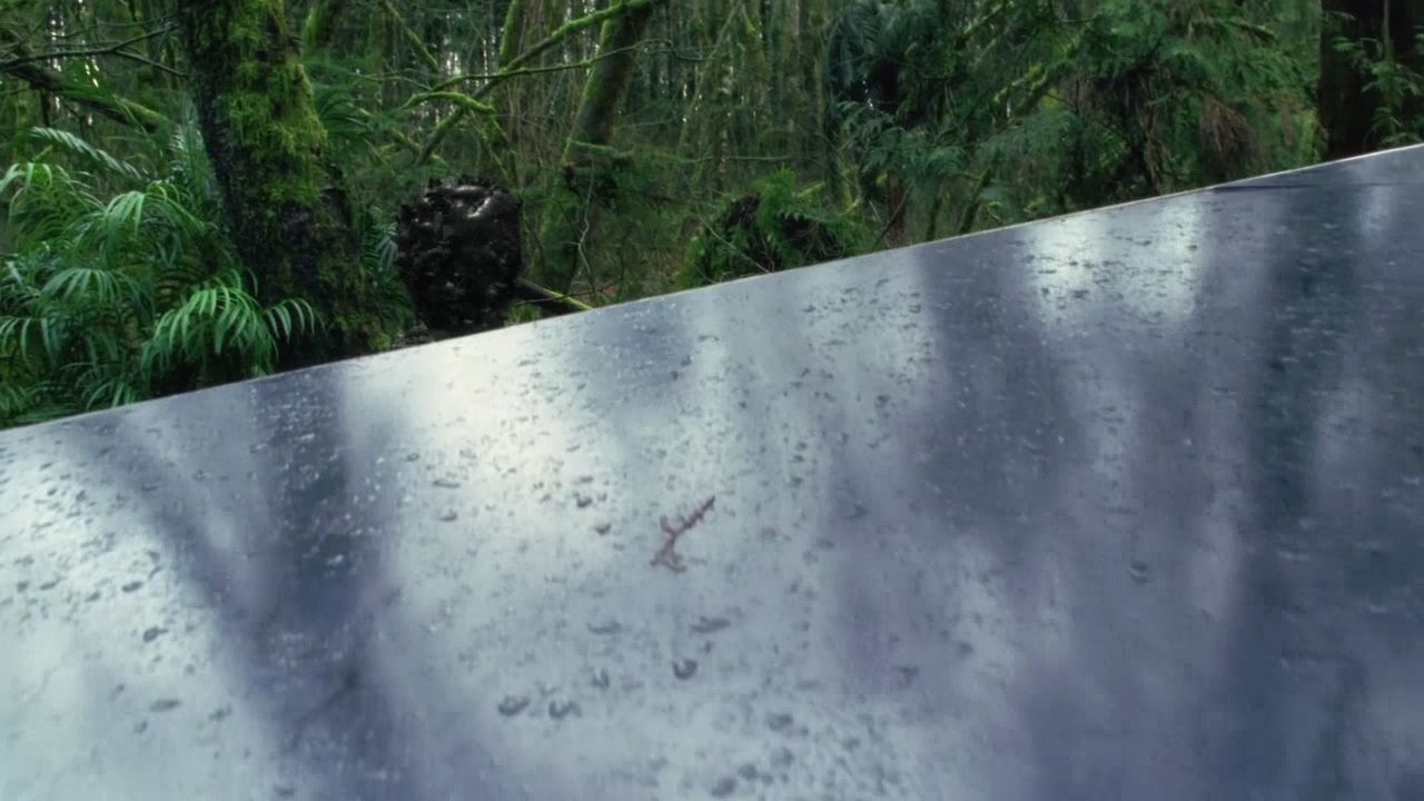 516Smallville1120.jpg