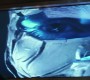 519Smallville0452.jpg
