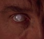 521Smallville0290.jpg