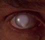 521Smallville0291.jpg